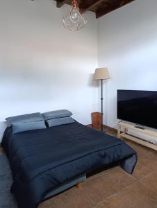 a bedroom with a blue bed and a flat screen tv at Amaicha Luján in Luján
