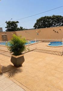 a potted plant sitting in front of a pool at Recanto sonho meu in Trindade