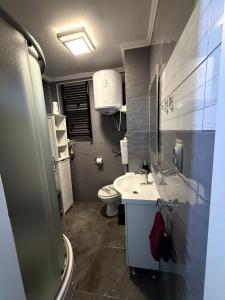 a small bathroom with a sink and a toilet at Studio Apartman Jovičić in Bjelovar +5 photos