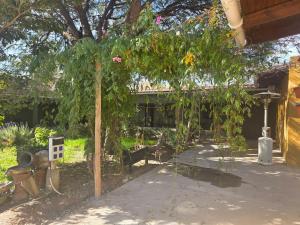 a garden with a tree and some plants at Descanso de la Furia in San Carlos