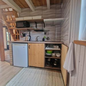 a kitchen with a white refrigerator and a sink at Dobilas ir jura in Palanga +62 photos