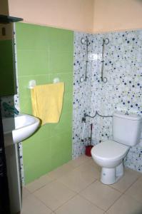 a green bathroom with a toilet and a sink at إقامة جنان فاس in Fez