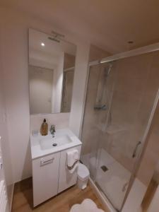 a bathroom with a shower and a sink and a toilet at Bords de Loire in Les Ponts-de-Cé