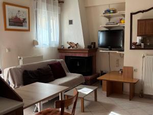 a living room with a couch and a fireplace at Basis Apartment in Karpenisi