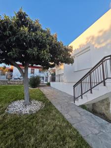 a tree in a yard next to a staircase at Giannis house in Makri