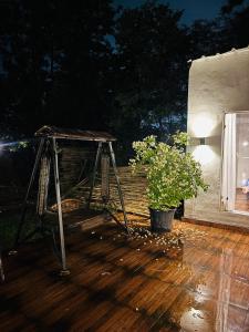 a stand on a deck with a plant on it at The cosmos farm in Gurgaon +3 photos