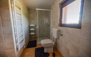 a bathroom with a toilet and a shower and a window at Udobna hiša med vinogradi blizu Vinarium LEND - Comfortable Vineyard House near Vinarium Tower LEND in Lendava +37 photos