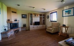 a living room with a fireplace and a television at Udobna hiša med vinogradi blizu Vinarium LEND - Comfortable Vineyard House near Vinarium Tower LEND in Lendava