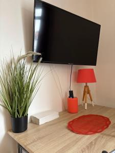 a flat screen tv on top of a desk with plants at Studio plage - Séjours pros et vacances in Dunkerque