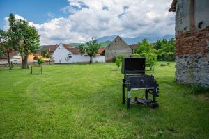 a grill sitting in the grass in a yard at Curte la Munte - charming village house in Sebeşu de Sus