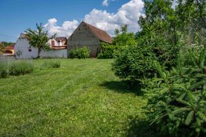 a yard with an old house and a tree at Curte la Munte - charming village house in Sebeşu de Sus