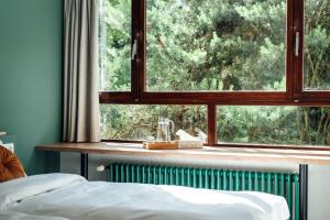 a bedroom with a window looking out at a tree at ReCenter in Brecht