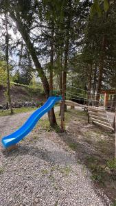a blue plastic object is leaning against a tree at Cabana Pârâul Lupilor in Răchitiş