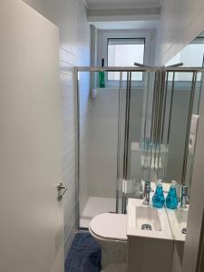 a bathroom with a shower and a toilet and a sink at Dormitorio no Porto in Porto