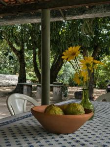 a bowl of food on a table with a vase of flowers at Refúgio na Serra à 15min do Centro in Crato +43 photos