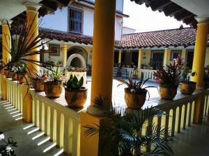 a row of potted plants on a fence in front of a building at Hotel Tlacotalpan in Tlacotalpan