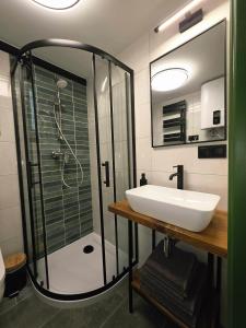 a bathroom with a sink and a shower at Domek Daglezjowy in Małe Leżno +15 photos