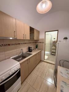 a kitchen with a sink and a refrigerator at Insieme Studio - Small Square in Sibiu