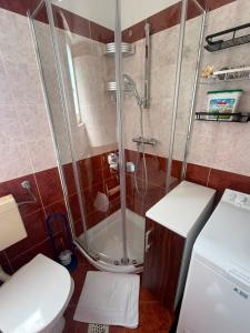 a bathroom with a shower and a toilet at Vista Esmeralda in Opatija +12 photos