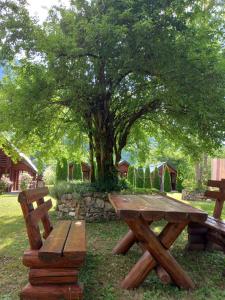 a picnic table and a bench in front of a tree at Rafting Centar Bato in Plužine +4 photos