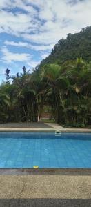 a blue swimming pool with palm trees in the background at Mirador Mindo in Mindo +28 photos