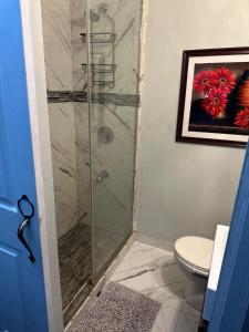 a bathroom with a glass shower with a toilet at Diamond Palace in Kingston