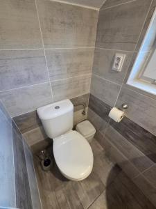 a bathroom with a white toilet and a tile wall at Penzión Poloniny in Ulič