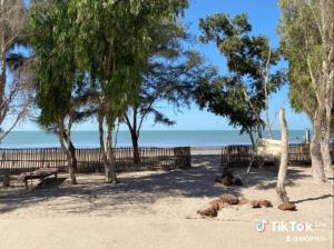 a beach with trees and a bench and the ocean at Villa de luxe Palmarin in Palmarin