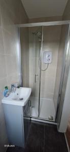 a bathroom with a shower and a sink at Rosmore Newport in Newport +11 photos
