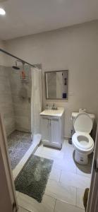 a bathroom with a toilet and a sink and a shower at Edificio Bermejo Suites in La Paz +24 photos