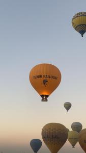 a group of hot air balloons in the sky at Luxor hot air balloon co in Jazīrat al ‘Awwāmīyah