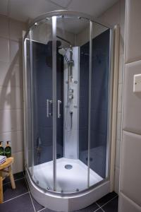a shower with a glass enclosure in a bathroom at La Maison Douce Lourdes in Lourdes +17 photos