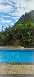 a blue swimming pool with palm trees in the background at Mirador Mindo in Mindo