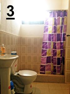 a bathroom with a toilet and a shower curtain at Guesthouse Nelson L in Quito