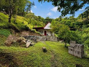 a small house in the middle of a green hill at Cabaña El Cafetal in Valle Hornito