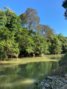 a river with trees on the side of it at Casa Rural Los Bufalos - Farm Stay in Guacimo in Guácimo +2 photos