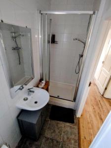 a bathroom with a shower and a sink at Stadium Solution Flat in London +5 photos