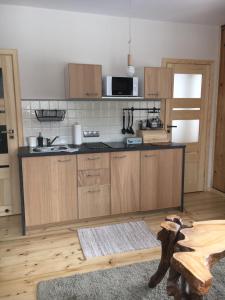 Kuchyňa alebo kuchynka v ubytovaní Nosalove Apartamenty