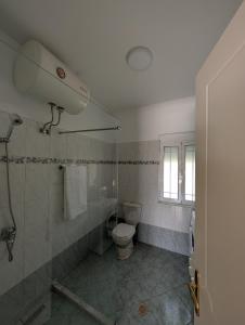 a bathroom with a toilet and a shower at Vila Albert in Gjirokastër +6 photos