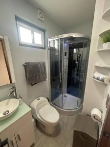 a bathroom with a shower and a toilet and a sink at Container Glamping in Zapopan +19 photos