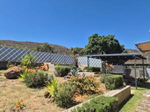 a garden with plants and a building with a roof at Container Glamping in Zapopan