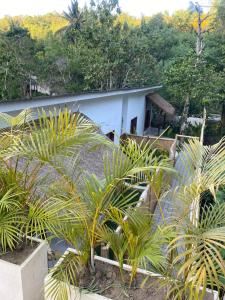 a house with a bunch of palm trees in front of it at RUMAH BAIQ Villa in Kuta Lombok