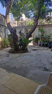 a bike parked next to a tree in a courtyard at Villa Salguero in Gaira +3 photos