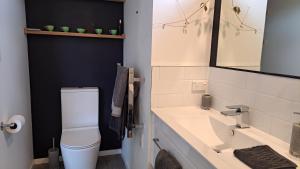 a bathroom with a toilet and a sink and a mirror at Christchurch - Port Levy, Bed & Breakfast in Port Levy