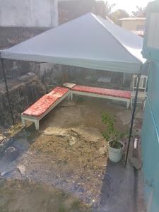 a white tent with a bed and a bench under it at Guest house in Basseterre