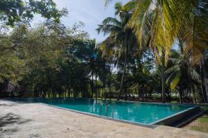 a swimming pool with palm trees in the background at Camp Thuduwa Udawalawe in Udawalawe +43 photos