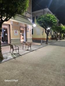 two benches on a city street at night at Fortuna in Diano Marina