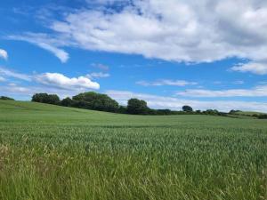 Gallery image of 6 persons tranquil cottage in Knebel in Knebel