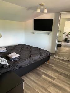 a bedroom with a bed and a flat screen tv at Casa ALBERT in Brezoi