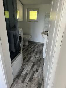 a bathroom with a toilet and a sink at Casa ALBERT in Brezoi